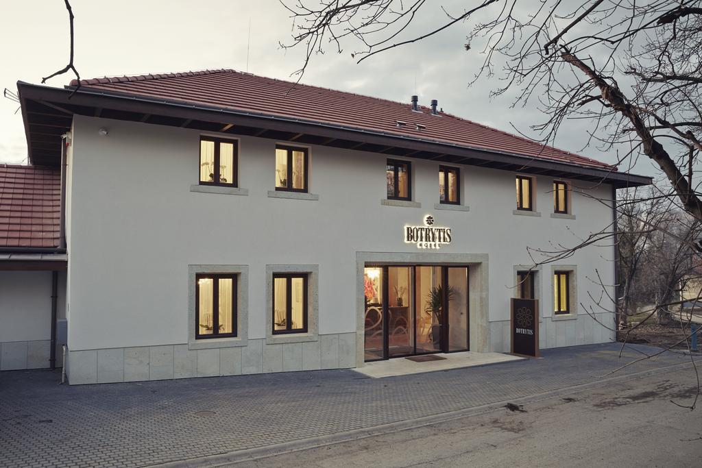 Botrytis Borhotel Mád Habitación foto